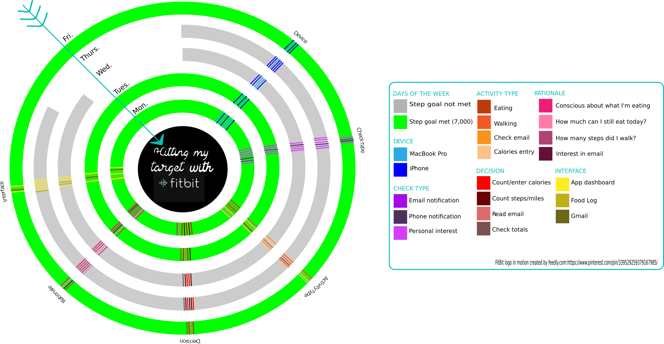 Student example of a data visualization about their engagement with Fitbit.